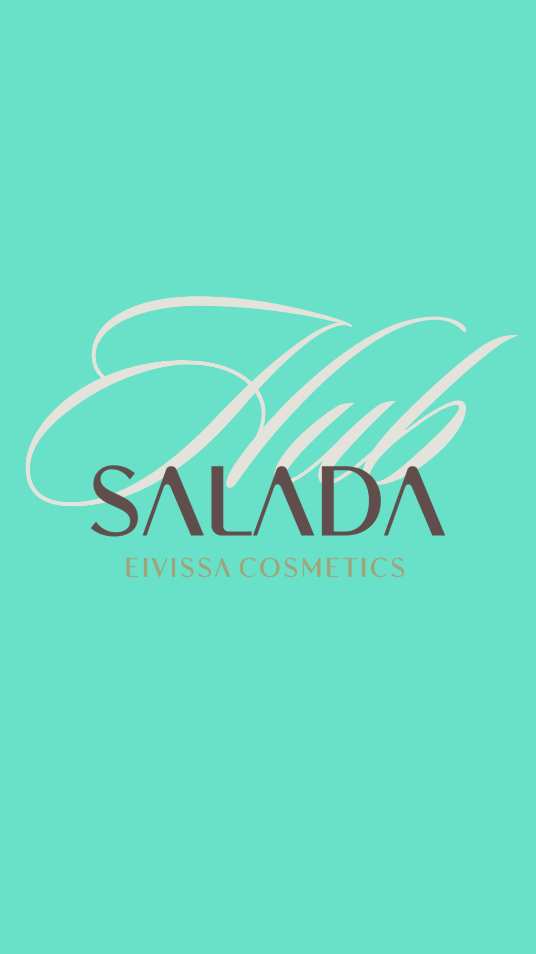 Hub Profesional Salada